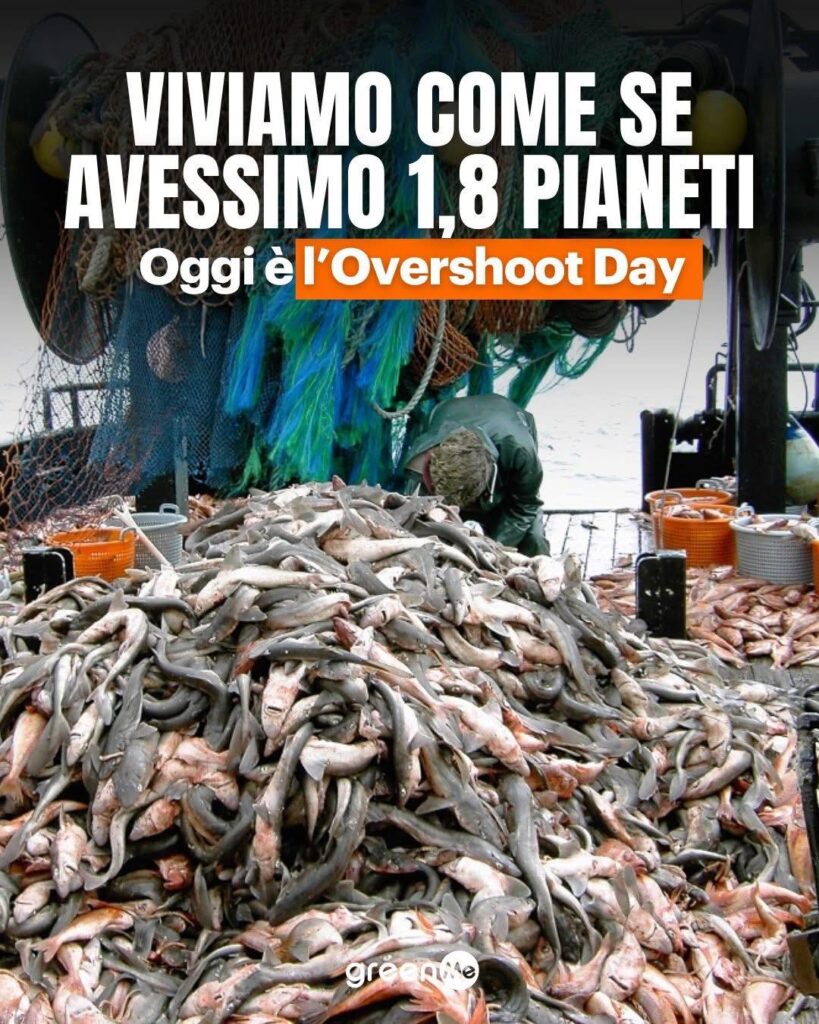 Overshoot Day 523927875 122137732814407259 1177206909730176700 n